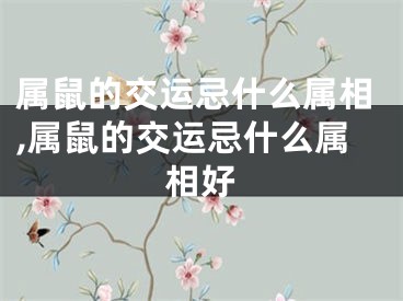 属鼠的交运忌什么属相,属鼠的交运忌什么属相好