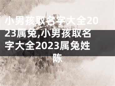 小男孩取名字大全2023属兔,小男孩取名字大全2023属兔姓陈