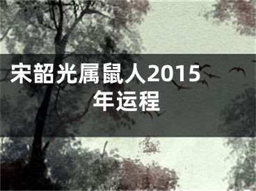 宋韶光属鼠人2015年运程