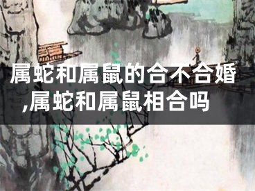 属蛇和属鼠的合不合婚,属蛇和属鼠相合吗