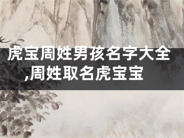 虎宝周姓男孩名字大全,周姓取名虎宝宝