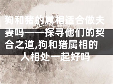 狗和猪的属相适合做夫妻吗——探寻他们的契合之道,狗和猪属相的人相处一起好吗