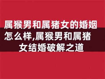 属猴男和属猪女的婚姻怎么样,属猴男和属猪女结婚破解之道