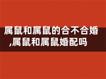 属鼠和属鼠的合不合婚,属鼠和属鼠婚配吗