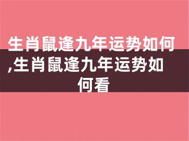 生肖鼠逢九年运势如何,生肖鼠逢九年运势如何看