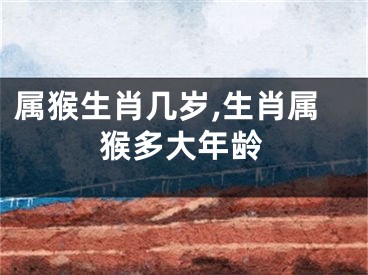 属猴生肖几岁,生肖属猴多大年龄