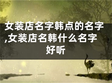 女装店名字韩点的名字,女装店名韩什么名字好听