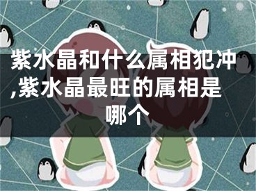 紫水晶和什么属相犯冲,紫水晶最旺的属相是哪个