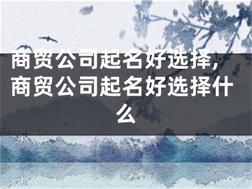 商贸公司起名好选择,商贸公司起名好选择什么