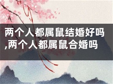 两个人都属鼠结婚好吗,两个人都属鼠合婚吗