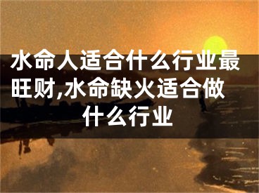 水命人适合什么行业最旺财,水命缺火适合做什么行业