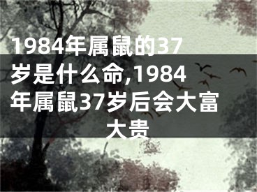 1984年属鼠的37岁是什么命,1984年属鼠37岁后会大富大贵