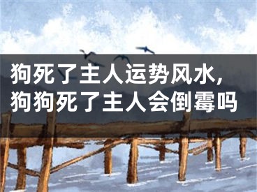 狗死了主人运势风水,狗狗死了主人会倒霉吗