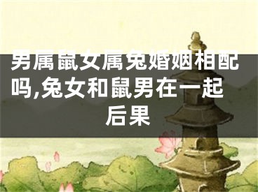 男属鼠女属兔婚姻相配吗,兔女和鼠男在一起后果