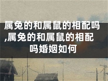 属兔的和属鼠的相配吗,属兔的和属鼠的相配吗婚姻如何