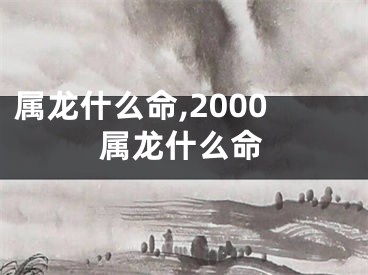 属龙什么命,2000属龙什么命