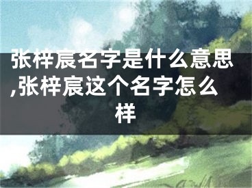 张梓宸名字是什么意思,张梓宸这个名字怎么样