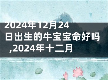 2024年12月24日出生的牛宝宝命好吗,2024年十二月