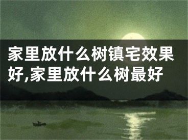 家里放什么树镇宅效果好,家里放什么树最好