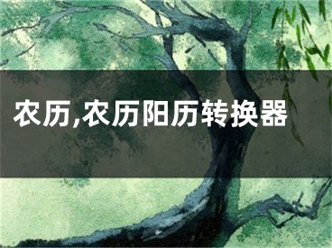 农历,农历阳历转换器