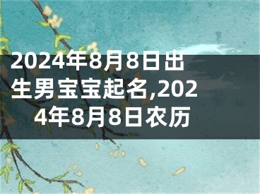 2024年8月8日出生男宝宝起名,2024年8月8日农历