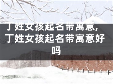丁姓女孩起名带寓意,丁姓女孩起名带寓意好吗