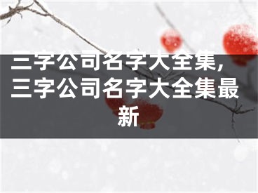 三字公司名字大全集,三字公司名字大全集最新