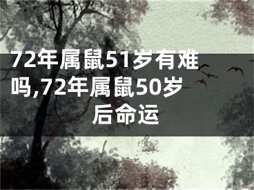 72年属鼠51岁有难吗,72年属鼠50岁后命运