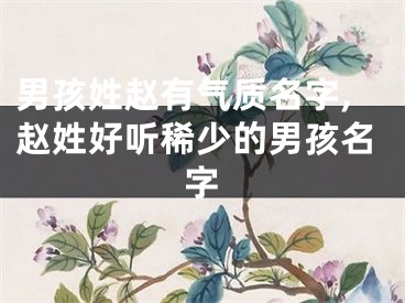 男孩姓赵有气质名字,赵姓好听稀少的男孩名字