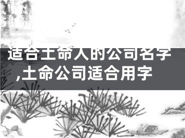 适合土命人的公司名字,土命公司适合用字