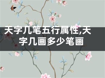 天字几笔五行属性,天字几画多少笔画