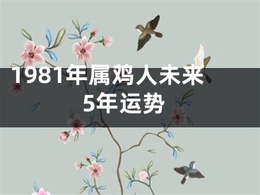 1981年属鸡人未来5年运势