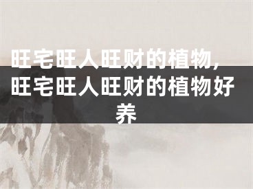 旺宅旺人旺财的植物,旺宅旺人旺财的植物好养