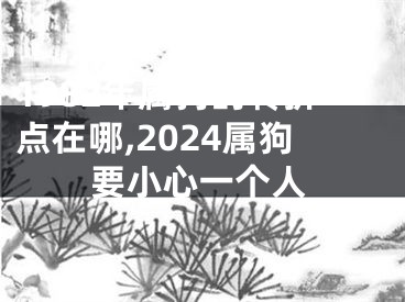 1982年属狗的转折点在哪,2024属狗要小心一个人