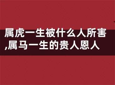 属虎一生被什么人所害,属马一生的贵人恩人