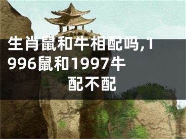 生肖鼠和牛相配吗,1996鼠和1997牛配不配