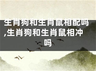 生肖狗和生肖鼠相配吗,生肖狗和生肖鼠相冲吗