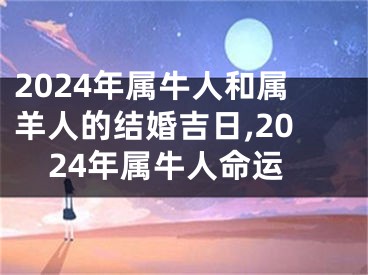 2024年属牛人和属羊人的结婚吉日,2024年属牛人命运