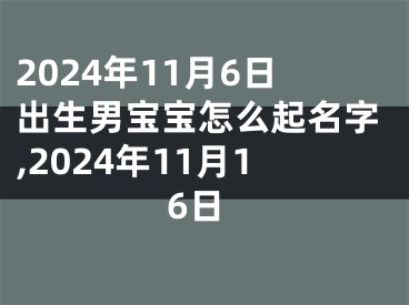 2024年11月6日出生男宝宝怎么起名字,2024年11月16日