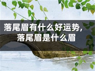 落尾眉有什么好运势,落尾眉是什么眉