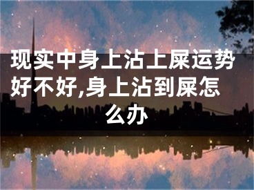 现实中身上沾上屎运势好不好,身上沾到屎怎么办
