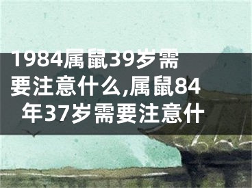 1984属鼠39岁需要注意什么,属鼠84年37岁需要注意什