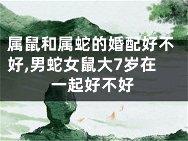 属鼠和属蛇的婚配好不好,男蛇女鼠大7岁在一起好不好