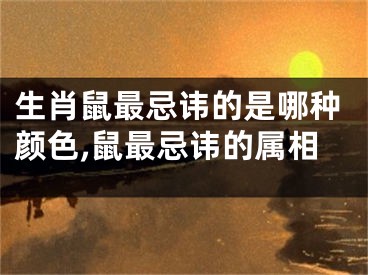 生肖鼠最忌讳的是哪种颜色,鼠最忌讳的属相