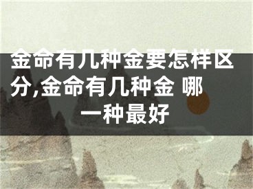 金命有几种金要怎样区分,金命有几种金 哪一种最好