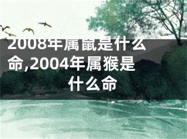 2008年属鼠是什么命,2004年属猴是什么命