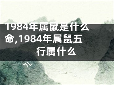 1984年属鼠是什么命,1984年属鼠五行属什么