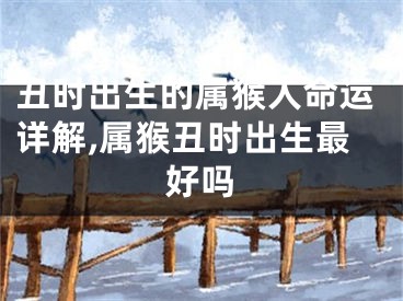 丑时出生的属猴人命运详解,属猴丑时出生最好吗