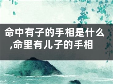 命中有子的手相是什么,命里有儿子的手相