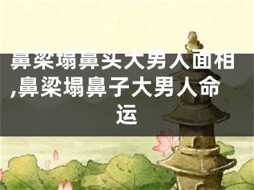 鼻梁塌鼻头大男人面相,鼻梁塌鼻子大男人命运